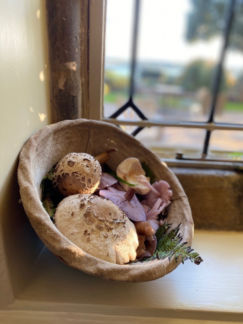 basket-of-mushrooms